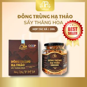 ĐÔNG TRÙNG HẠ THẢO SẤY THĂNG HOA HỢP TÁC XÃ 20G