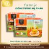 TRÀ TÚI LỌC ĐÔNG TRÙNG HẠ THẢO 60G