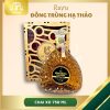 RƯỢU ĐÔNG TRÙNG HẠ THẢO 750ML CHAI XO (hộp gỗ)